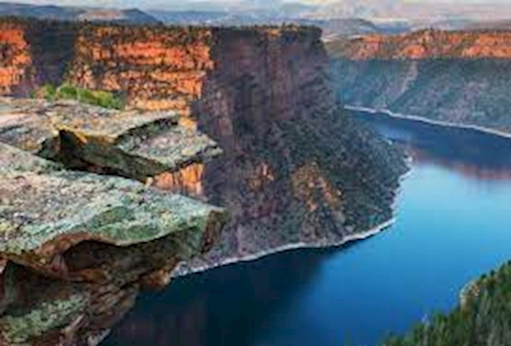 The Scuba Dive Reservations