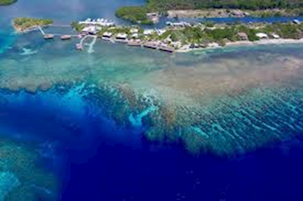 Roatan - March 27th - April 3rd, 2027 