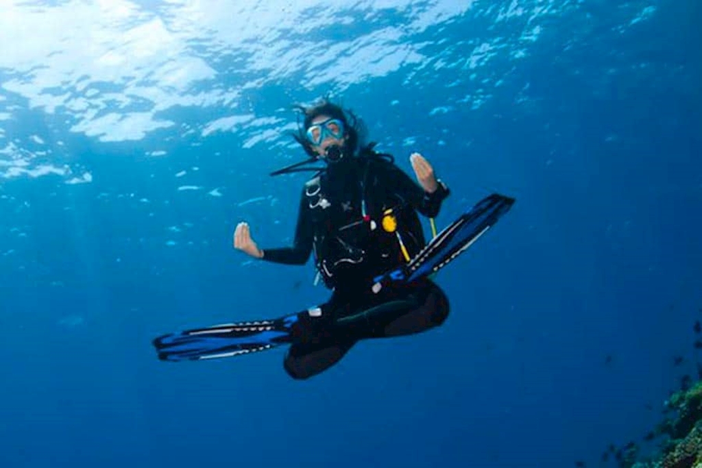 The Scuba Dive Reservations