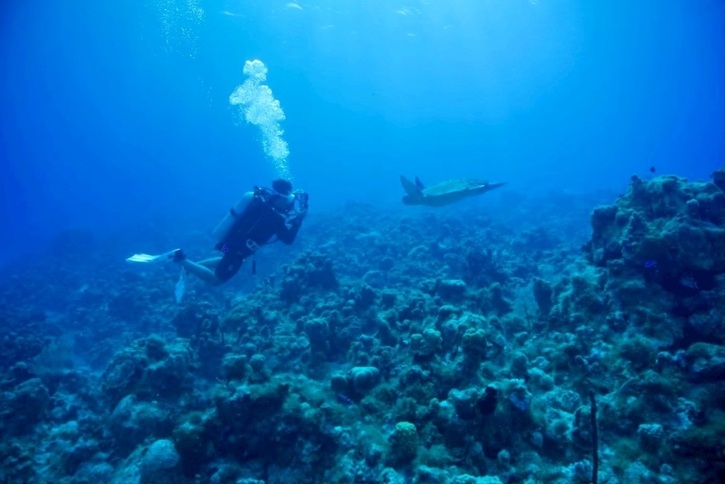 Scuba Certification - August 5th, 2025 - Branden