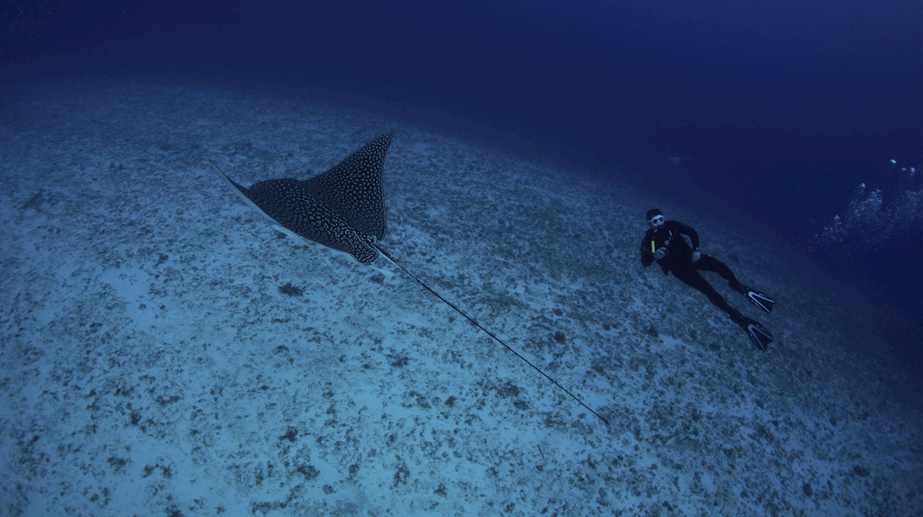 Scuba Cert - February 25th, 2026 Ivan