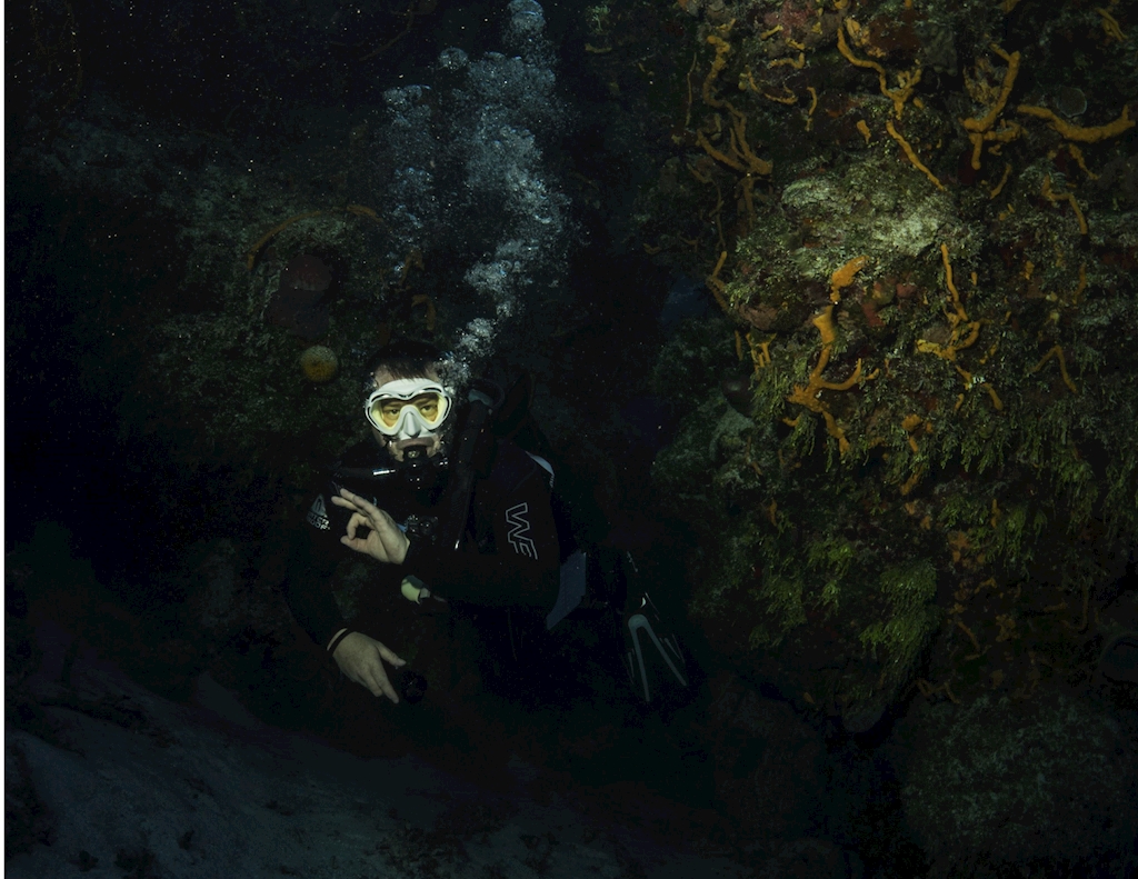 Scuba Certification - August 1st, 2025 - Greg