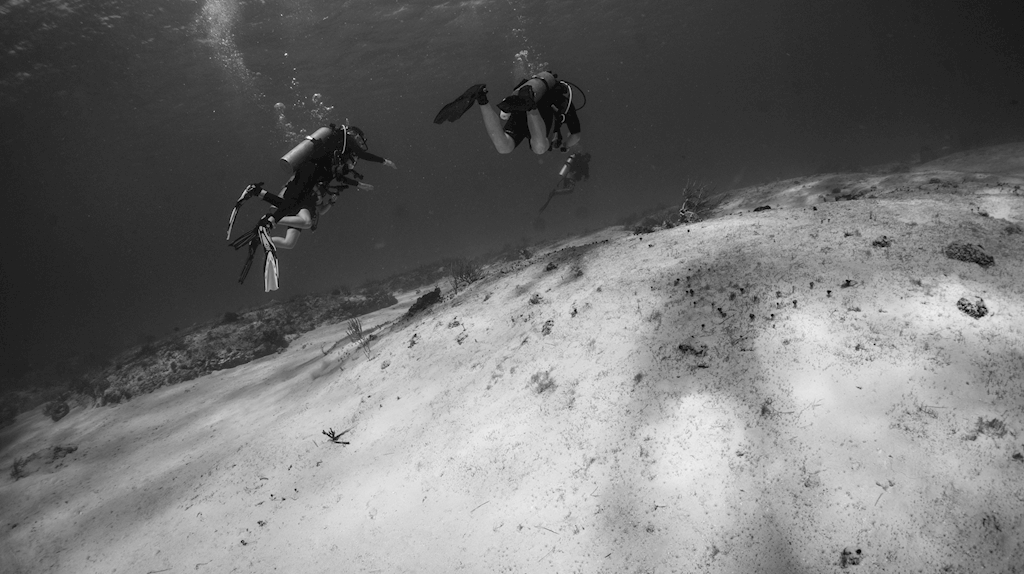 Scuba Certification - June 22nd, 2026 - Preston