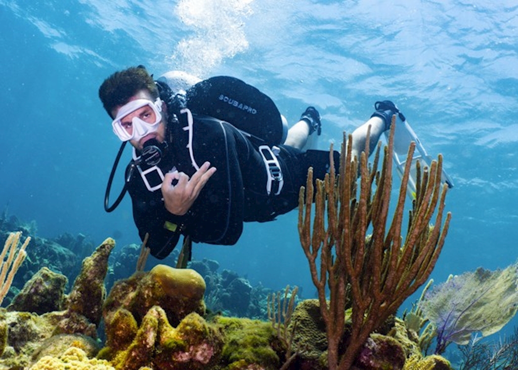 Scuba Discovery – Sat, November 22nd @ 9:00 AM