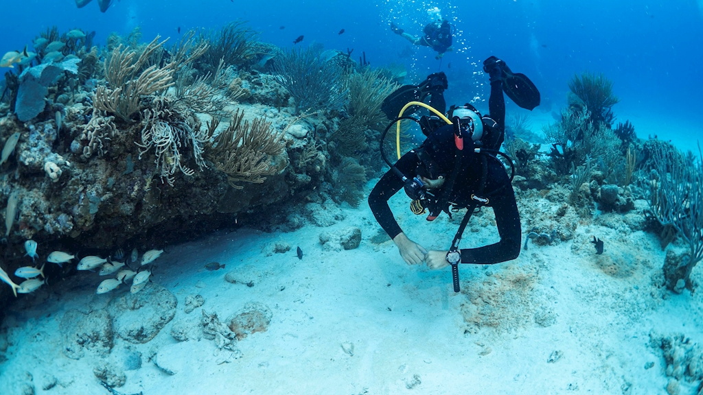 Scuba Certification - March, 11th, 2026 - Kayla